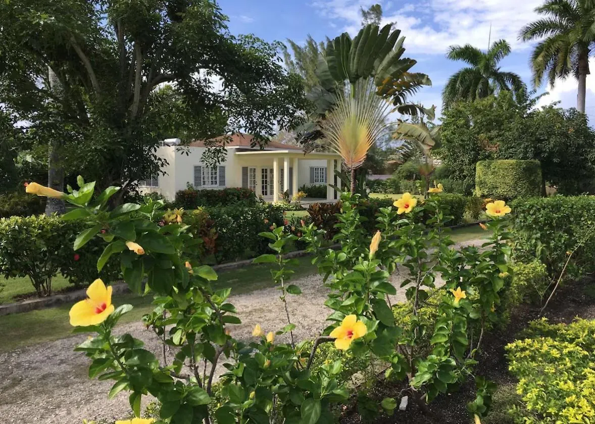 Steer Town Sunset Serenity Villas -Your Private Oasis In Mammee Bay  Steer Town